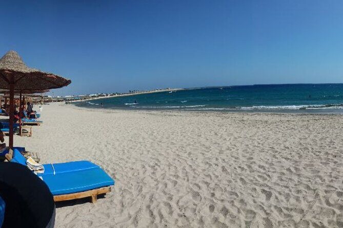 Snorkeling with Turtles - Experience in Abu Dabbab - Key Points