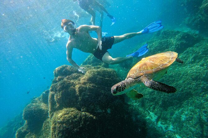 Snorkeling with turtles in Fujairah with BBQ lunch - What to Expect from the Tour