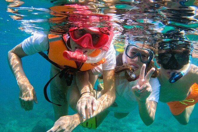 Snorkeling with turtles in Fujairah with BBQ lunch - Practical Tips for Your Trip