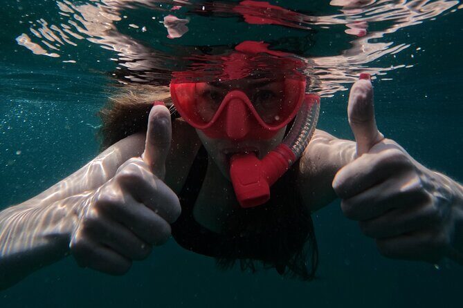 Snorkeling with turtles in Fujairah with Transfer & BBQ lunch - Considerations and Possible Drawbacks