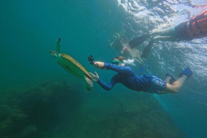 Snorkeling with turtles in Fujairah with Transfer & BBQ lunch - Is This Tour Worth It?