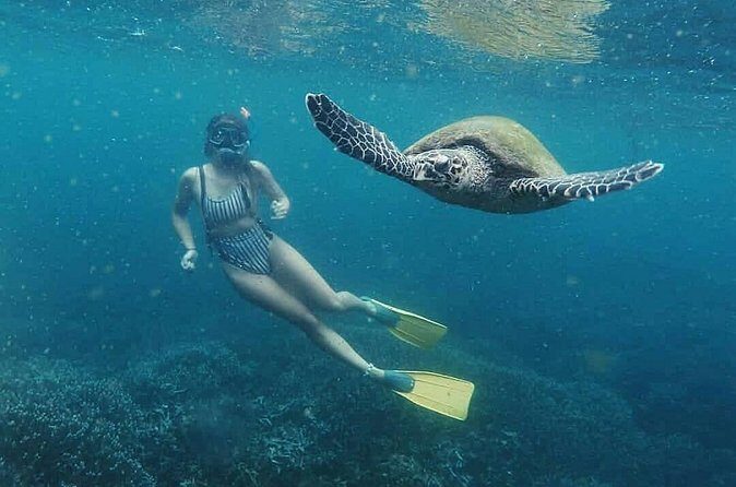 Snorkeling with Turtles in Mirissa - Who Should Consider This Experience