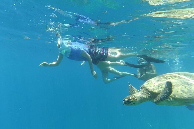 Snorkeling with Turtles on Gili Trawangan - What’s Included and What’s Not