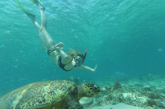 Snorkeling with Turtles on Gili Trawangan - The Experience: Pros and Cons