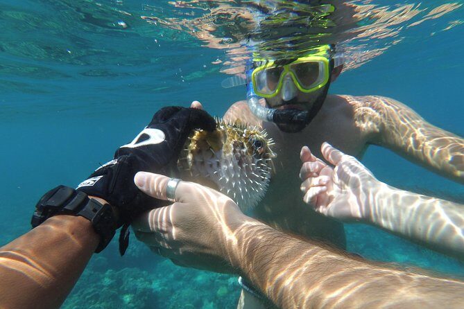 Snorkeling with Turtles on Gili Trawangan - Who Would Love This Tour?