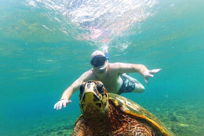 Snorkeling with Turtles on Gili Trawangan - The Sum Up