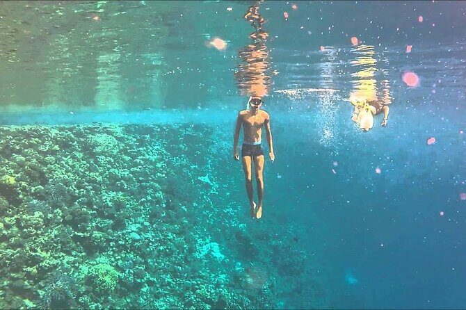 Snorkelling Adventure in Sharm El Luli Beach in Marsa Alam - Authentic Insights from Past Participants