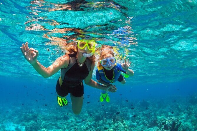 Snorkelling Adventure with Dugongs and Turtles in Marsa Mubarak - What to Expect at Marsa Mubarak