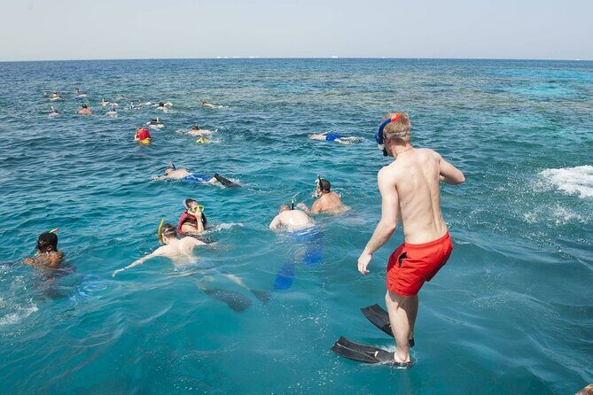 Snorkelling Adventure with Dugongs and Turtles in Marsa Mubarak - Authentic Experiences and Guest Insights