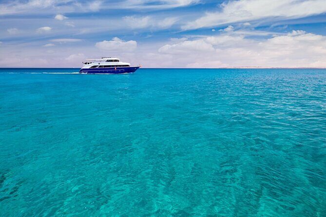 Snorkelling Adventure with Dugongs and Turtles in Marsa Mubarak - Weather and Cancellation Policies