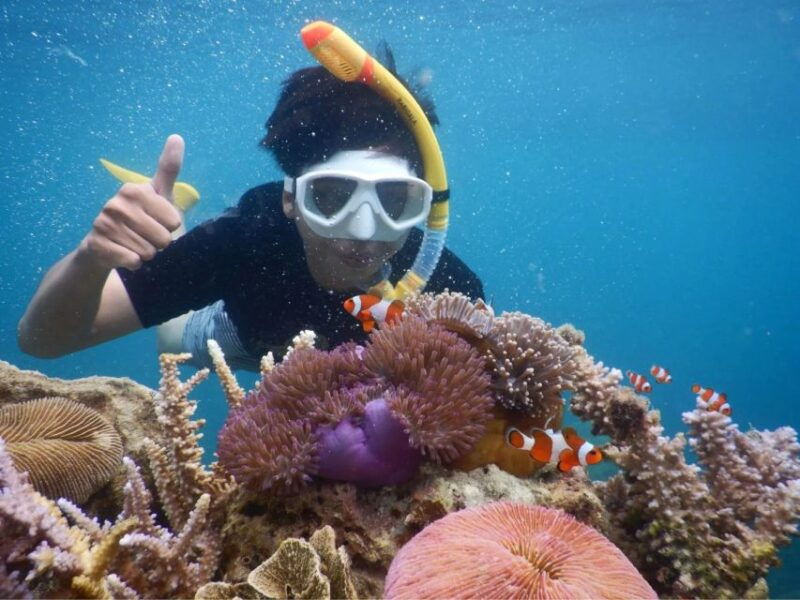 snorkelling-islandhopping-tour-karimunjawa-sharing-tour