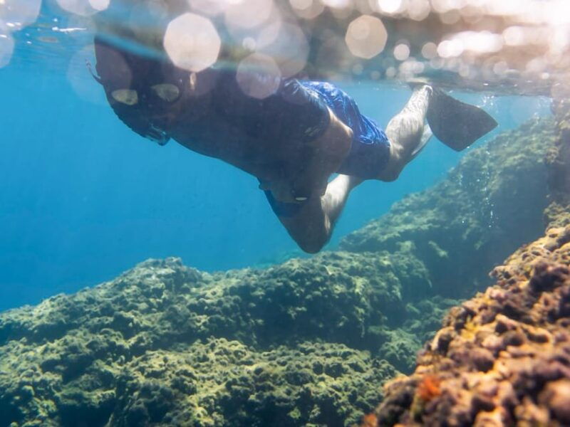 snorkelling-marine-biology-experience-in-the-cinque-terre