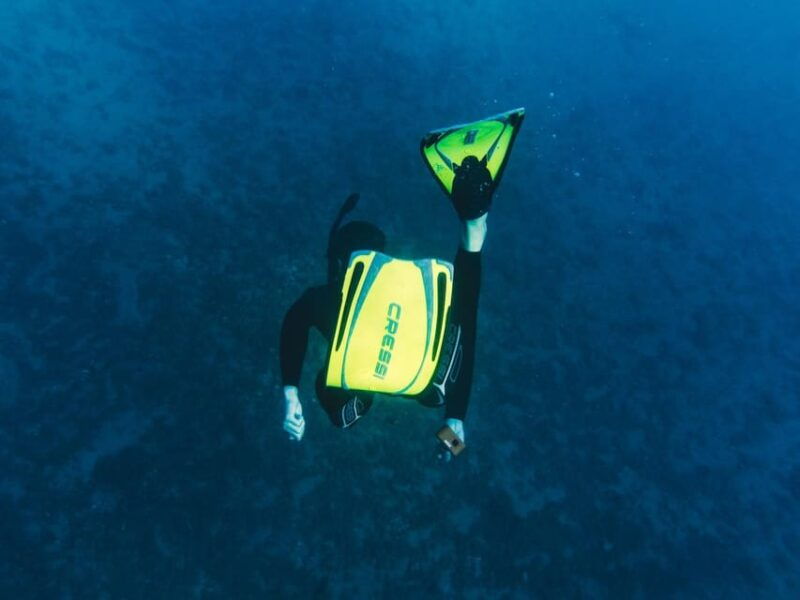 snorkelling-marine-biology-experience-in-the-cinque-terre