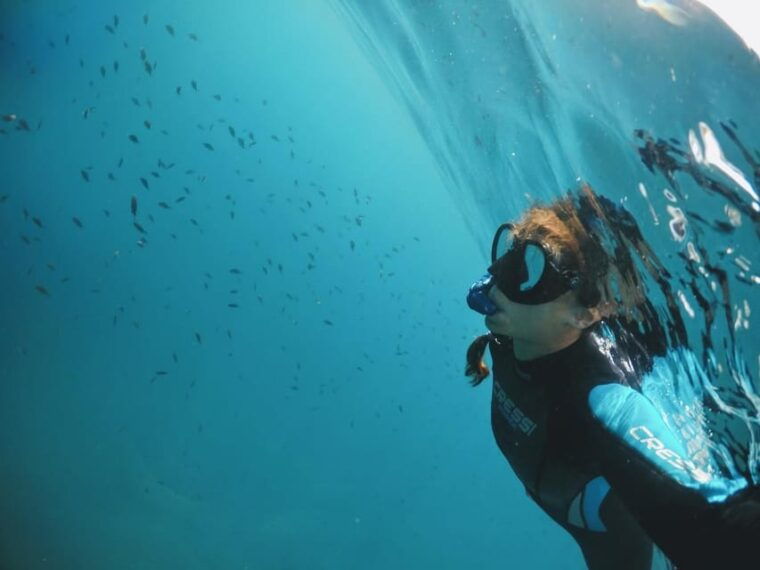 snorkelling-marine-biology-experience-in-the-cinque-terre