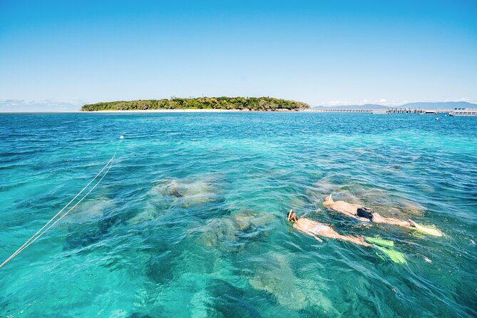 Snorkelling or Glass Bottom Boat at Green Island from Cairns - Stop 1: Green Island National Park – A Coral Cay with a Rainforest Twist