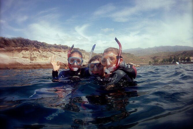 snorkelling-safari-in-a-turtle-area