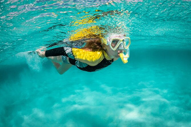 snorkelling-trip-at-ponta-de-sao-lourenco-protected-area