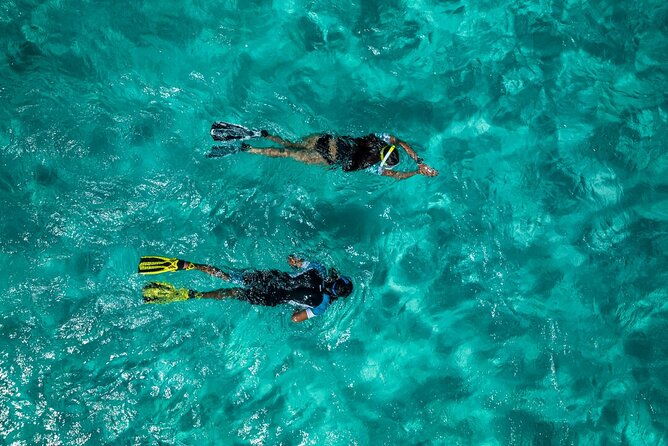 snorkelling-trip-at-ponta-de-sao-lourenco-protected-area