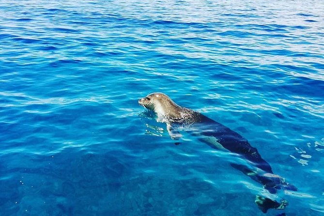 snorkelling-trip-at-ponta-de-sao-lourenco-protected-area