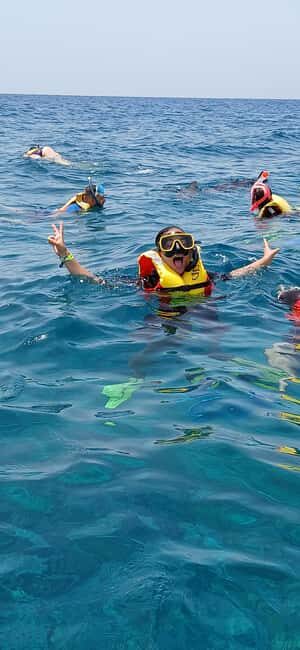 Snorkelling trip with certificate local guide - The Sum Up