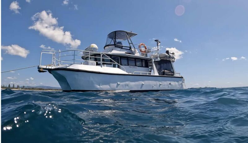 Snorkelling with Turtles at Cook Island Marine Rserve - Key Points
