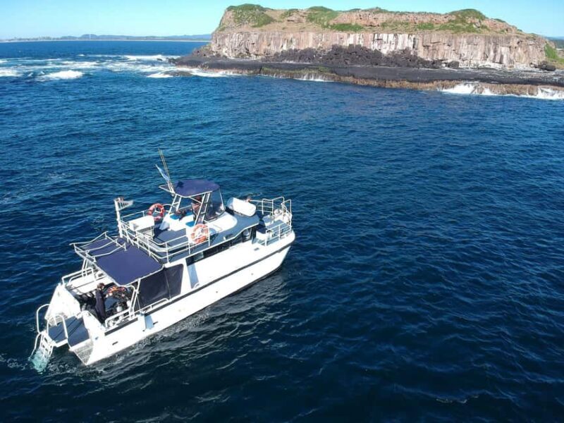 Snorkelling with Turtles at Cook Island Marine Rserve - An Honest Look at Snorkelling with Turtles at Cook Island