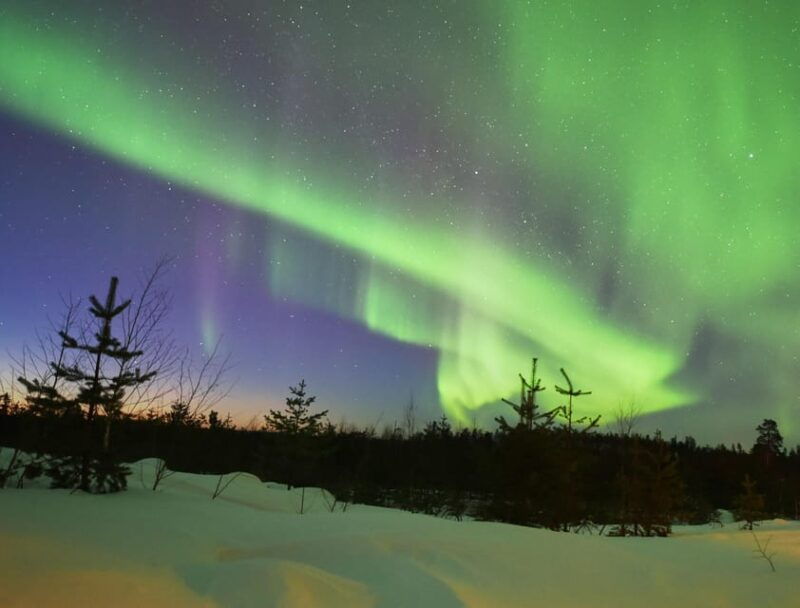 snow-activities-and-northern-lights-in-the-magical-forest-2