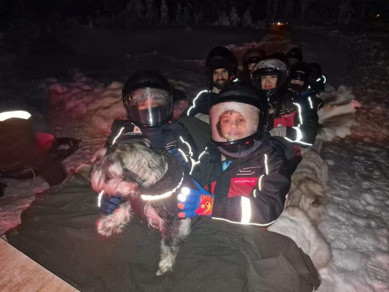 snow-activities-and-northern-lights-in-the-magical-forest-2