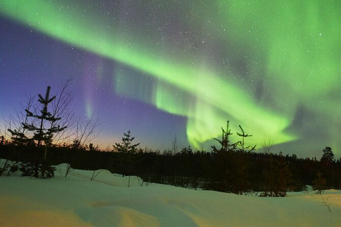 snow-activities-and-northern-lights-in-the-magical-forest
