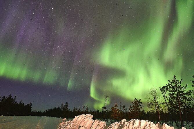 snow-activities-and-northern-lights-in-the-magical-forest