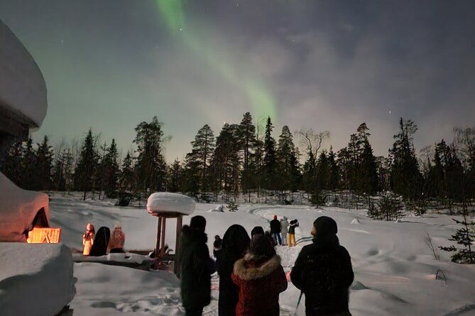 snow-activities-and-northern-lights-in-the-magical-forest