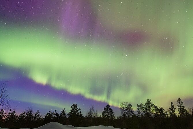 snow-activities-and-northern-lights-in-the-magical-forest