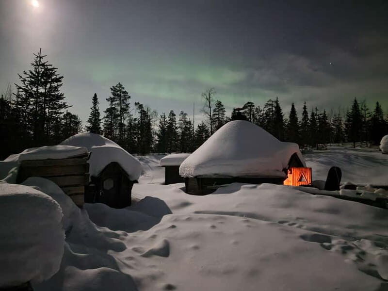Snow Activities and reindeer feeding in nature - Whats Included, and Why It Matters