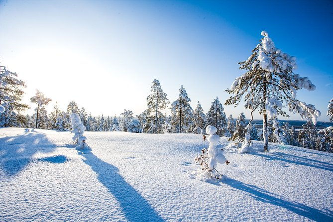 snow-adventure-day