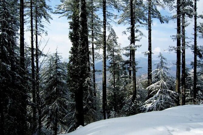 Snow Adventure in Foot Hills of Himalayas From Lahore - FAQs