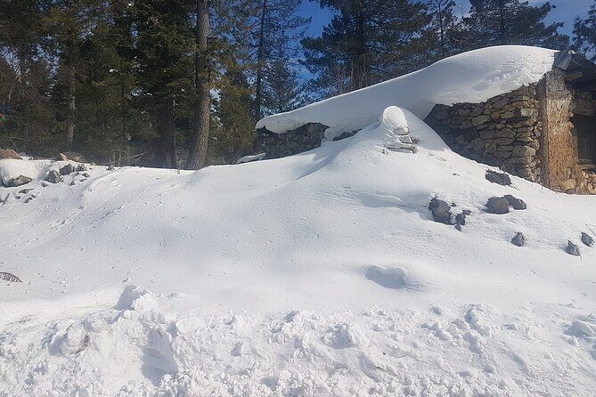 Snow Adventure in Shogran Thandiani Murree and Galyat from Lahore - A Deep Dive into the Snow Adventure Experience