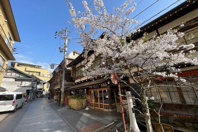 Snow Monkey and Cherry Blossom Illumination Tour (3rd ~19th Apr) - FAQ