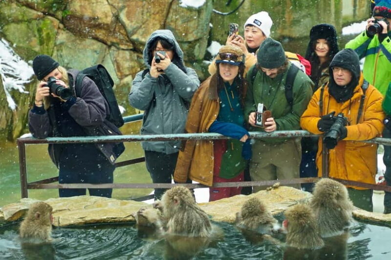 Snow Monkey, Hokusai & Sake: A Perfect Day in Nagano - Key Points