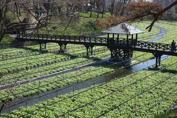 Snow Monkey, Hokusai & Sake: A Perfect Day in Nagano - Authentic Experiences and Hidden Gems