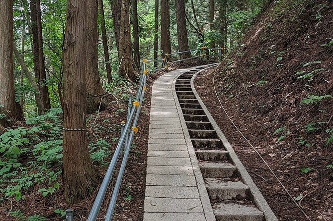 snow-monkey-nagano-one-day-private-tour-with-english-guide