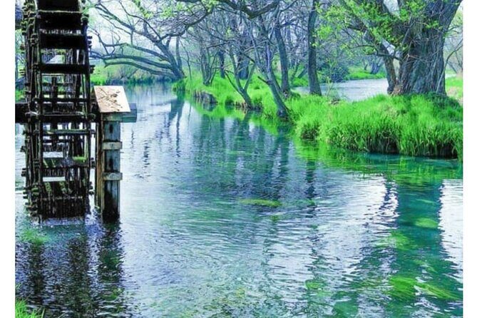 Snow Monkey Park and Zenko ji Temple Private Day Tour - Key Points