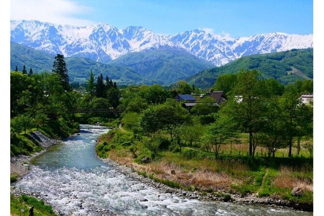 Snow Monkey Park and Zenko ji Temple Private Day Tour - Who Will Love This Tour?