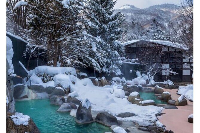 Snow Monkey Park and Zenko ji Temple Private Day Tour - The Sum Up