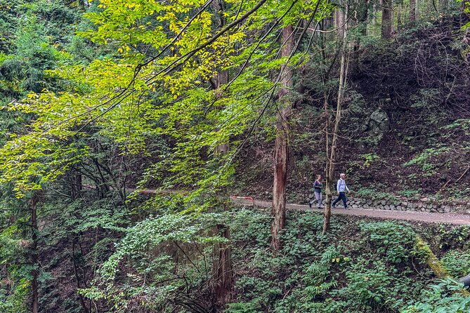 snow-monkey-park-private-tour-from-tokyo-with-licensed-guide
