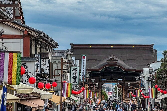 snow-monkey-park-private-tour-from-tokyo-with-licensed-guide