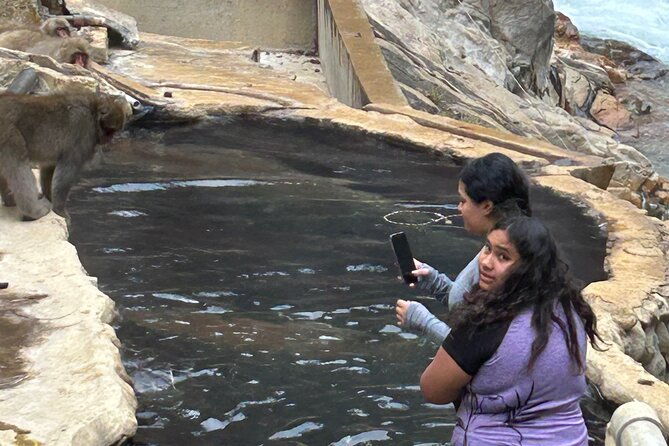 snow-monkey-park-tour-from-to-tokyo-2-12-guests