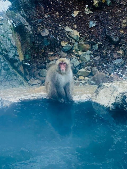 Snow Monkey Park & Zenko-ji Temple Nagano One Day Tour - Visiting Zenko-ji Temple