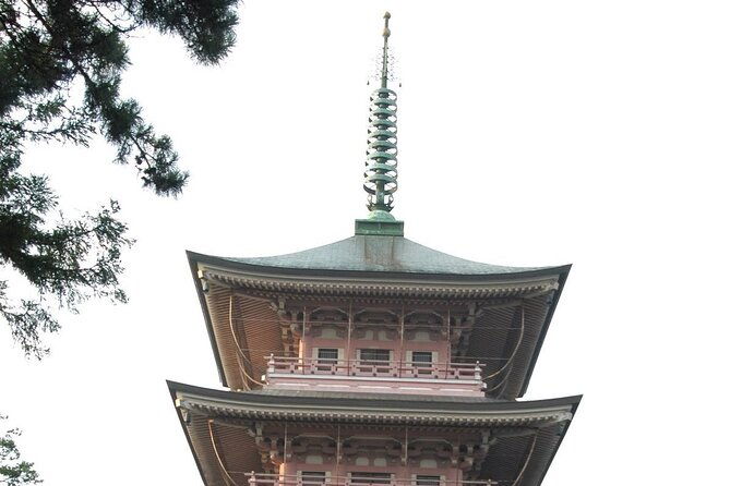 snow-monkey-park-zenkoji-temple-nagano-pvt-full-day-tour