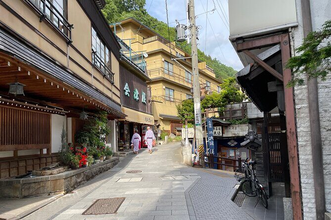 Snow Monkey & Shibu Onsen Private Tour (Nagano, Myoko, Madarao) - Who Should Consider This Tour?