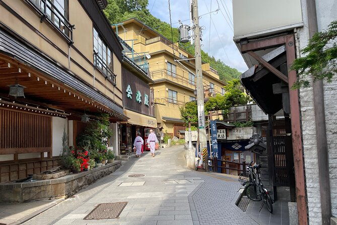 snow-monkey-shibu-onsen-private-tour-nagano-nozawa-myoko